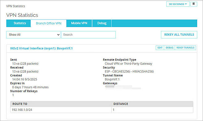 Screenshot of VPN status verify